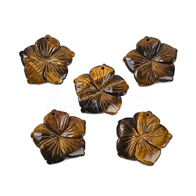 Natural Tiger Eye Carved Pendants G-B097-01A-07-1