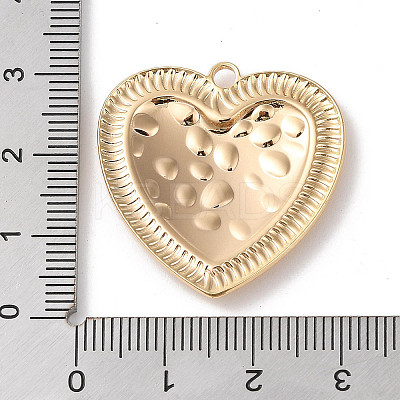 Bass Micro Pave Clear Cubic Zirconia Pendants KK-G491-65C-1