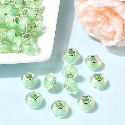 Drawbench Resin European Large Hole Beads DACR-S011-06-1