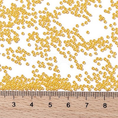 MIYUKI Round Rocailles Beads X-SEED-G009-RR0422D-1