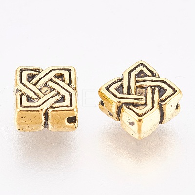 Tibetan Style Alloy Beads LS-X-GLF0867Y-1
