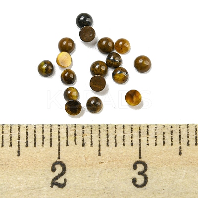 Natural Tiger Eye Cabochons G-H309-02-07-1
