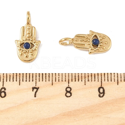 Natural Lapis Lazuli Pendants STAS-L022-544G-02-1