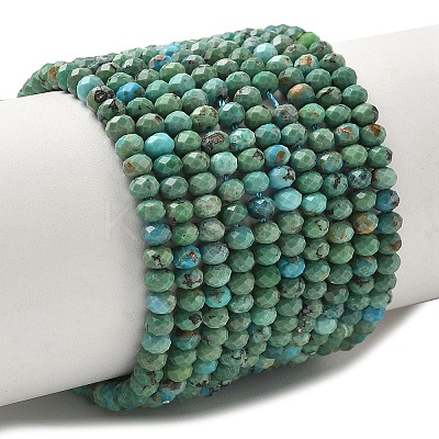 Natural HuBei Turquoise Beads Strands G-P629-B02-01-1
