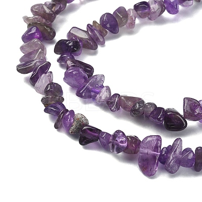 Natural Amethyst Chip Beads Strands G-YW0002-09-1