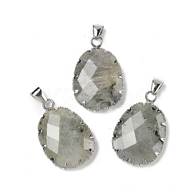 Natural Labradorite Pendants G-H086-01P-05-1