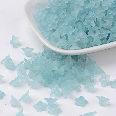 Transparent Acrylic Beads LS-X-PL554-11-1