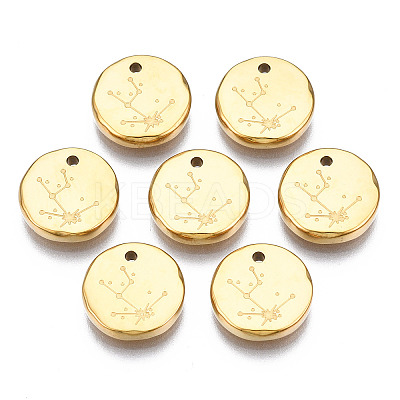 316 Surgical Stainless Steel Charms LS-STAS-S116-418A-G-1