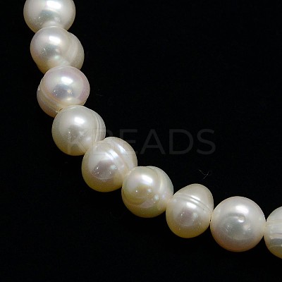 Natural Cultured Freshwater Pearl Beads Strands PEAR-N013-06I-1