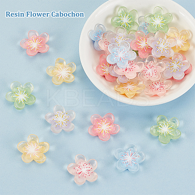60Pcs 6 Colors Translucent Resin Decoden Cabochons RESI-GA0001-31-1