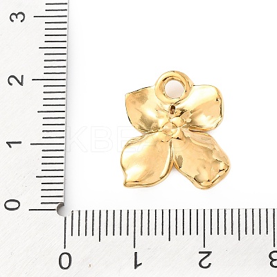 304 Stainless Steel Pendants STAS-D202-09G-1