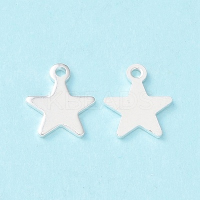 304 Stainless Steel Charms STAS-L234-069S-1