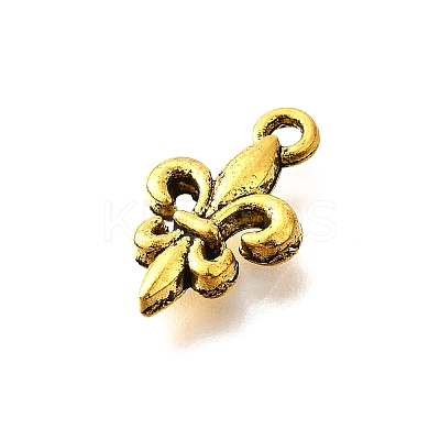 Tibetan Style Alloy Pendants X-TIBE-L008-15AG-1