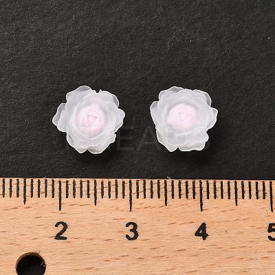 Luminous Resin Decoden Cabochons RESI-K036-06C-1