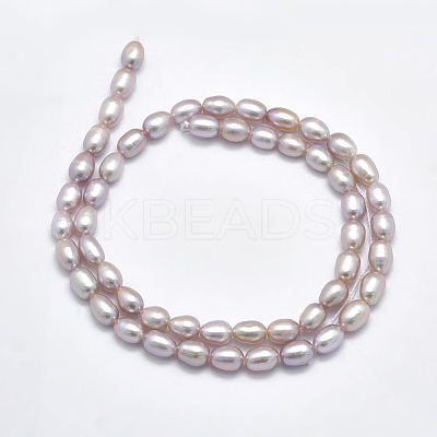 Natural Cultured Freshwater Pearl Beads Strands PEAR-F007-76B-01-1