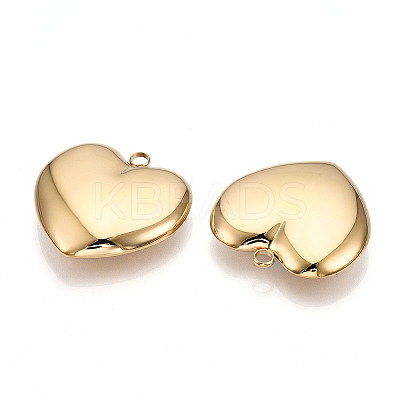 304 Stainless Steel Big Pendants STAS-T064-65G-1