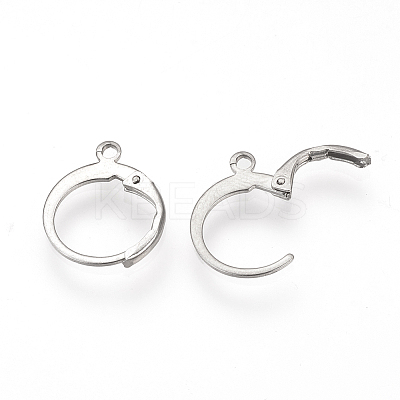 Tarnish Resistant 304 Stainless Steel Leverback Earring Findings LS-STAS-S073-01-1