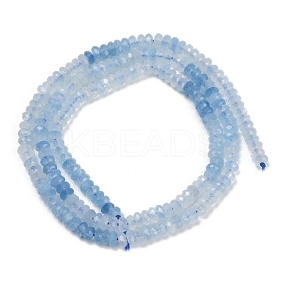Natural Aquamarine Beads Strands LS-G-P553-F10-02-1