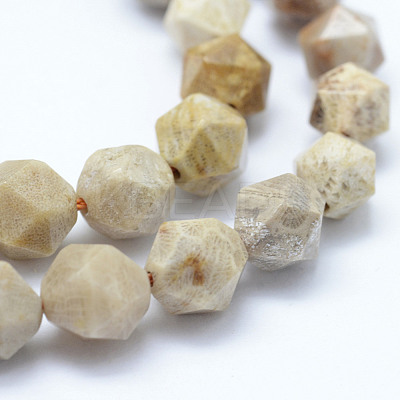 Natural Fossil Coral Beads Strands G-F523-23-8mm-1