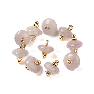 Natural Lepidolite Rondelle Charms with Rack Plating Brass Loops G-G110-05B-09-1