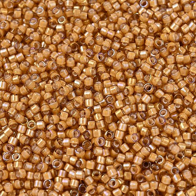 MIYUKI Delica Beads X-SEED-J020-DB1778-1