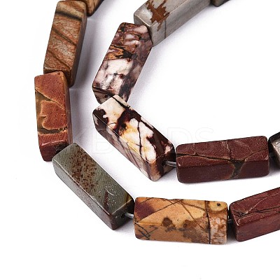 Natural Picasso Jasper/Polychrome Jasper Beads Strands G-T141-104-1