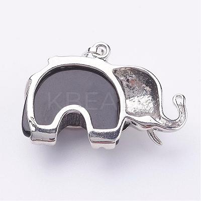 Natural Dyed & Heated Black Agate Pendants G-P268-07-1