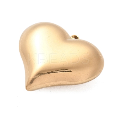 304 Stainless Steel Pendants LS-STAS-Q349-02C-G-1