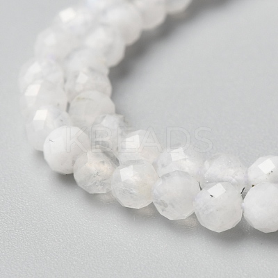 Natural Rainbow Moonstone Beads Strands G-O186-D02-01-1