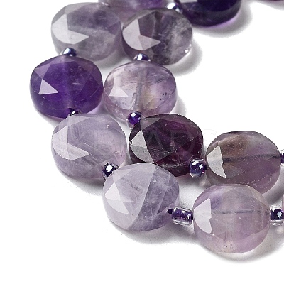 Natural Amethyst Beads Strands G-NH0004-022-1