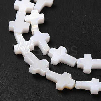 Natural Freshwater Shell Beads Strands X-BSHE-E026-18-1
