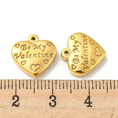 304 Stainless Steel Charms STAS-L022-026G-1
