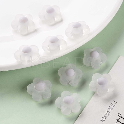 Transparent Acrylic Beads LS-TACR-S152-09C-06-1