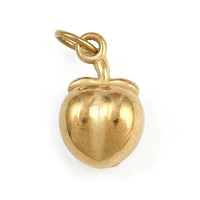 304 Stainless Steel Charms LS-STAS-L296-07G-01-1