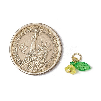36Pcs Frosted Acrylic Flower & Leaf Charms PALLOY-JF03552-1