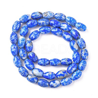 Natural Lapis Lazuli Beads Strands G-K311-10B-03-1