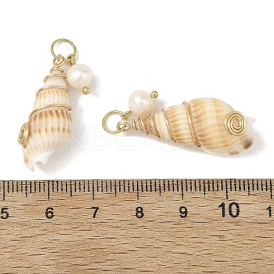 Copper Wire Wrapped Natural Spiral Shell Pendants Pendants PALLOY-JF05972-02-1