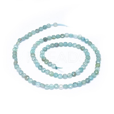 Natural Apatite Beads Strands G-I249-A09-1