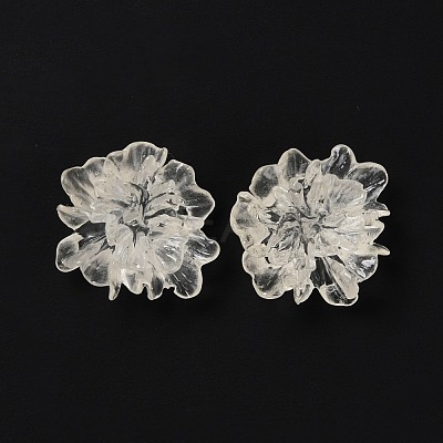 Transparent Resin Cabochons RESI-G027-01A-1