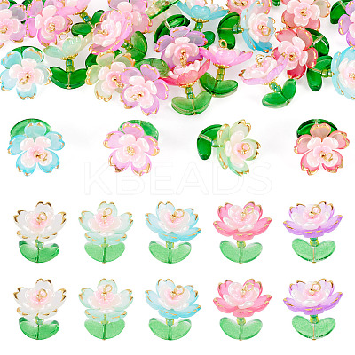 30Pcs 5 Colors Transparent Acrylic Pendants PALLOY-TA00303-1