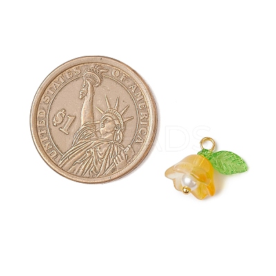 Glass Charms PALLOY-MZ00838-01-1