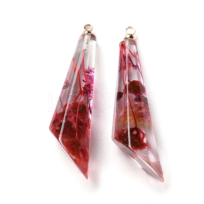 Inner Dried Flower Transparent Resin Pendants RESI-A043-08A-1