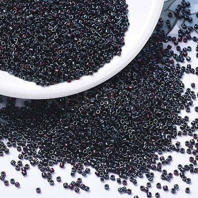 MIYUKI Delica Beads X-SEED-J020-DB1003-1