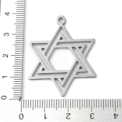 Non-Tarnish 304 Stainless Steel Pendants STAS-R116-01P-1