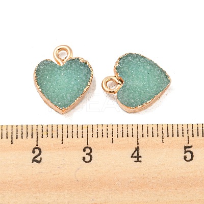Resin with Golden Zinc Alloy Charms LS-RESI-CJC0009-04D-1