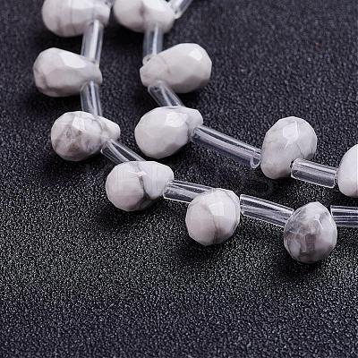 Natural Howlite Beads Strands G-J360-02-1