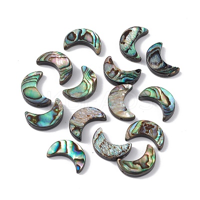 Natural Abalone Shell/Paua Shell Beads SSHEL-M021-08-1