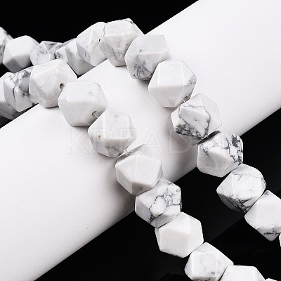 Natural Howlite Beads Strands G-T138-35-1