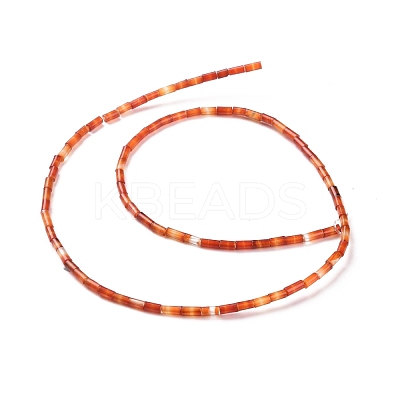 Natural Carnelian Beads Strands G-G783-23-1