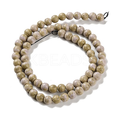 Natural Rainbow Alashan Agate Beads Strands G-NH0022-A02-01-1